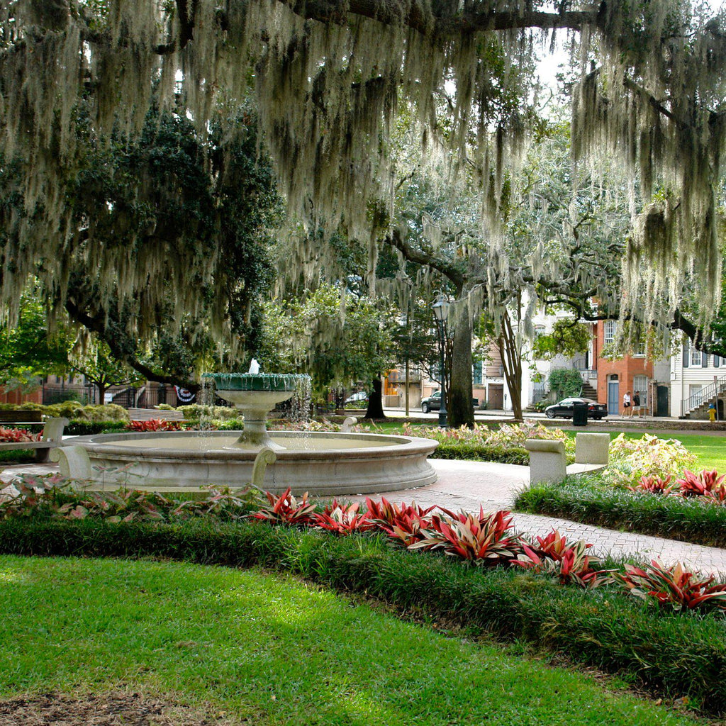 Historic Savannah Georgia: The Home of M.Liz Jewelry