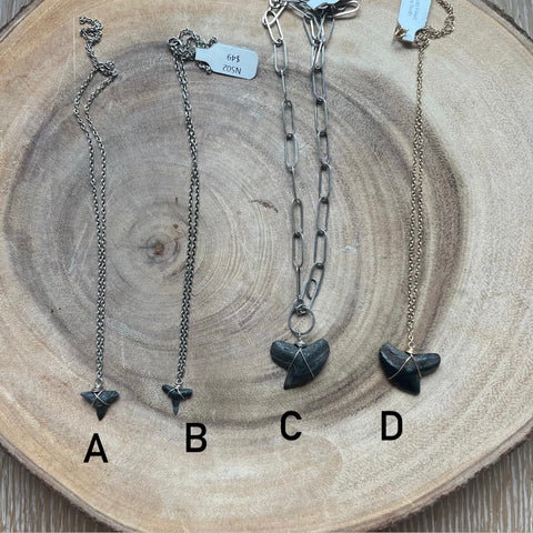 Sharks Tooth Necklace