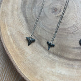Sharks Tooth Necklace
