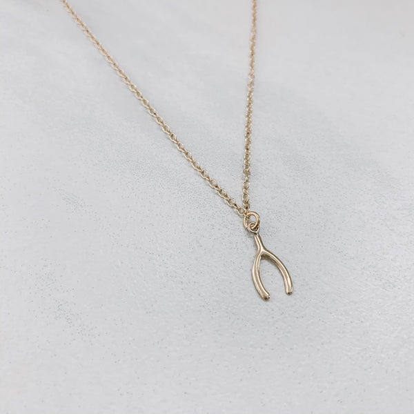 CHARMER NECKLACE: WISHBONE