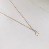 Horseshoe Necklace