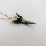 Elongated Sharks Tooth Necklace #1
