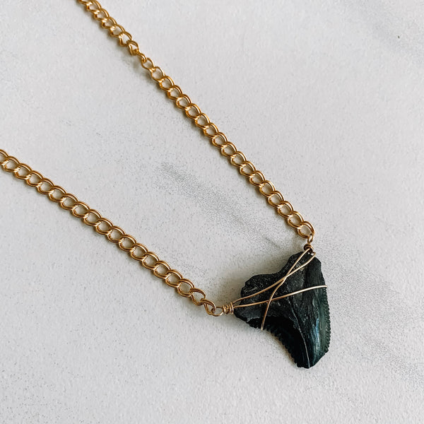 Tybee Sharks Tooth Necklace