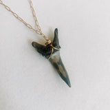 Elongated Sharks Tooth Necklace #1